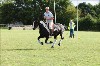 UKPA  NC Sat_1266